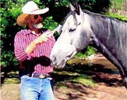 Keep Pests Away from Livestock Image